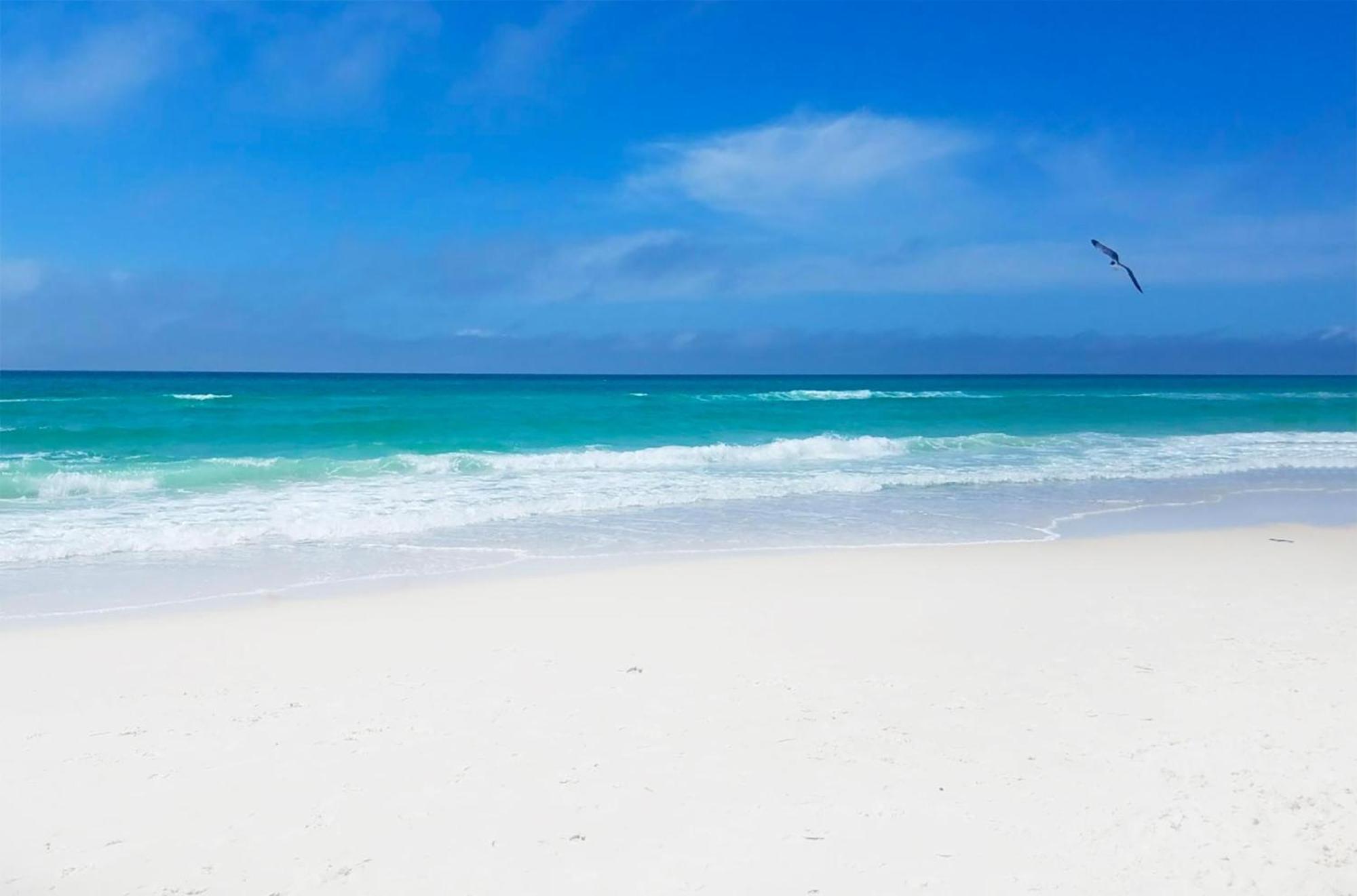 Paradise Palms Panama City Beach